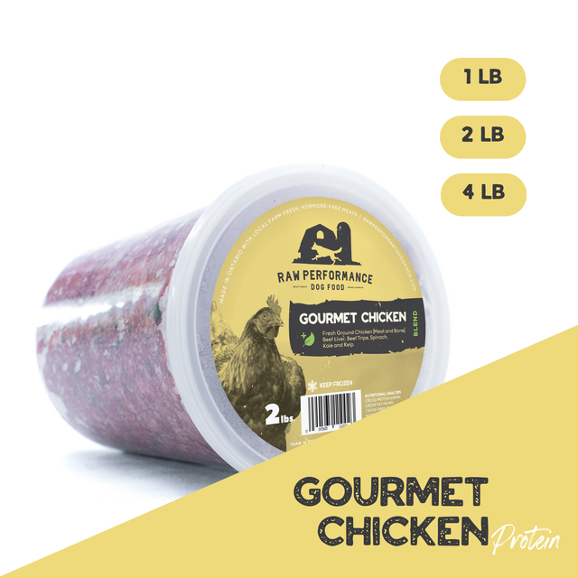 Performance raw dog food best sale