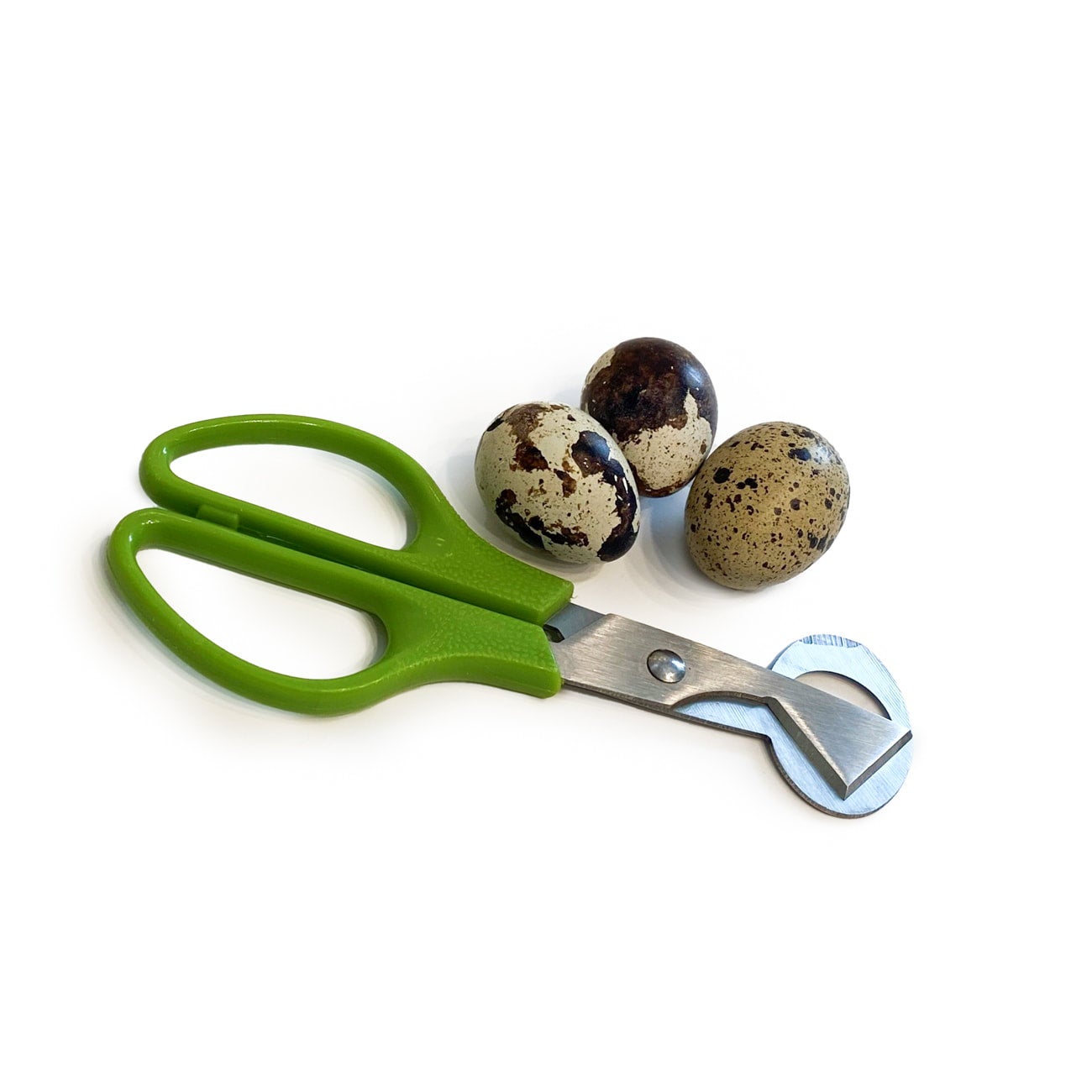 Quail Egg Scissors Grand Valley Quail Pet Treats